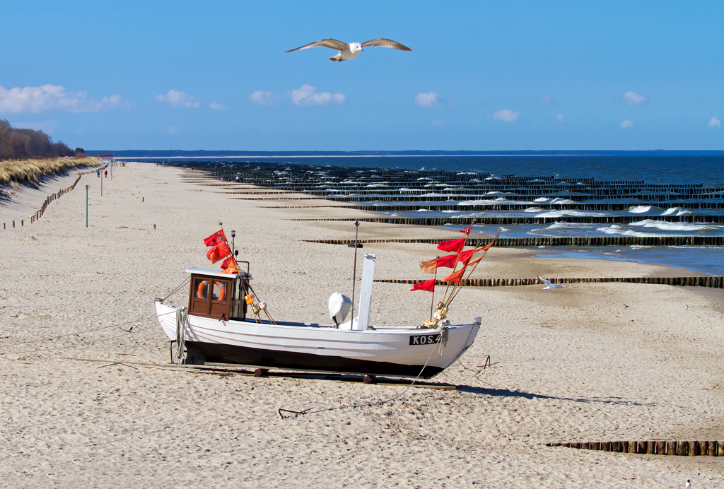 Eisiger Wind weht im April (2013) ber den Fischkutter am Strand von Koserow, den Mwen jedoch scheint die Klte egal zu sein.