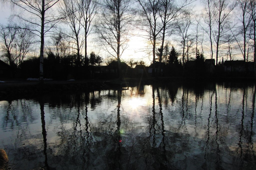 Eisweiher bei Hofheim (Ufr.) am 16.1.2011