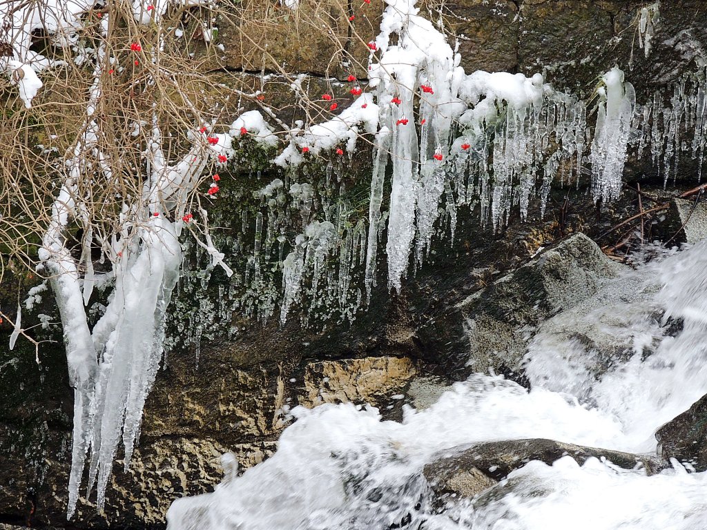 Eiszapfen, mit roten Beeren dekoriert; 130119