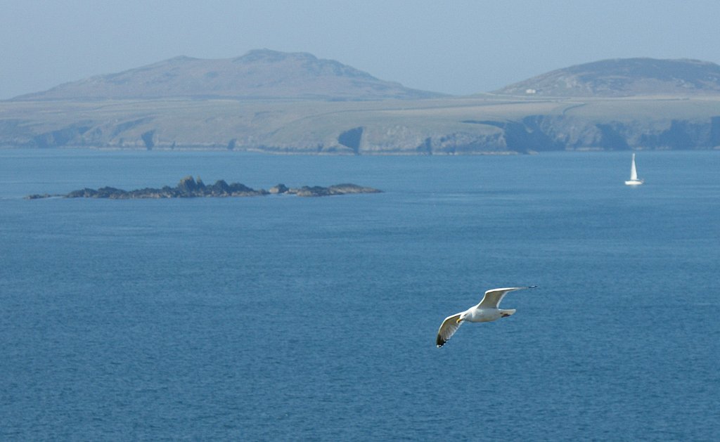 Entspannen auf und am Meer, ausser dem Kreischen der Mwen, begleitete uns nur der Wind.
(23.04.2010) 