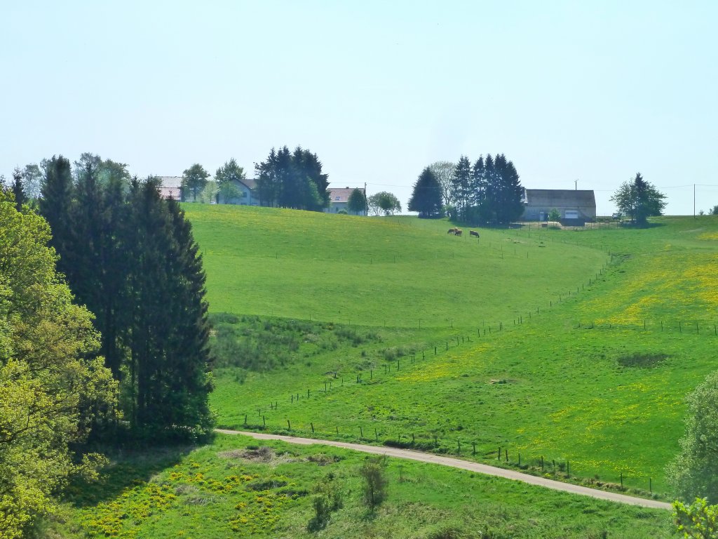 Enztal Radweg, bei Lichtenborn, Ortsgemeinde im Eifelkreis Bitburg-Prm in Rheinland-Pfalz,Verbandsgemeinde Arzfeld, 01.05.2011
