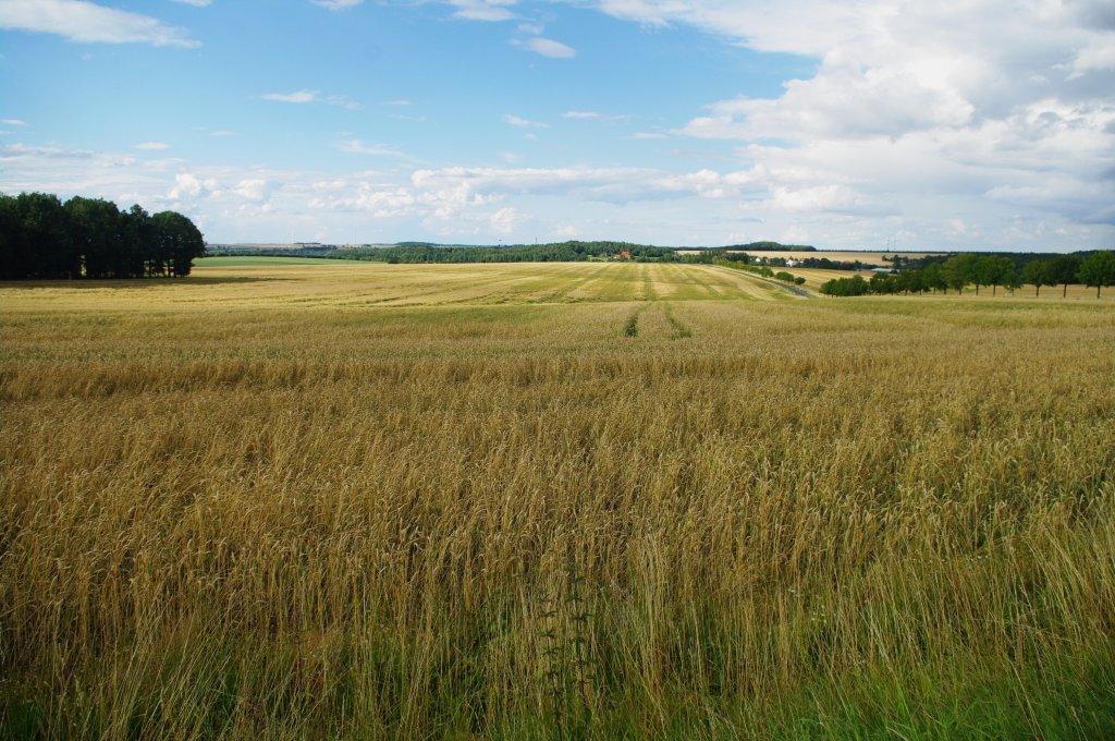 Erzgebirgisches Becken bei Meerane, Landkreis Zwickau (18.07.2011)