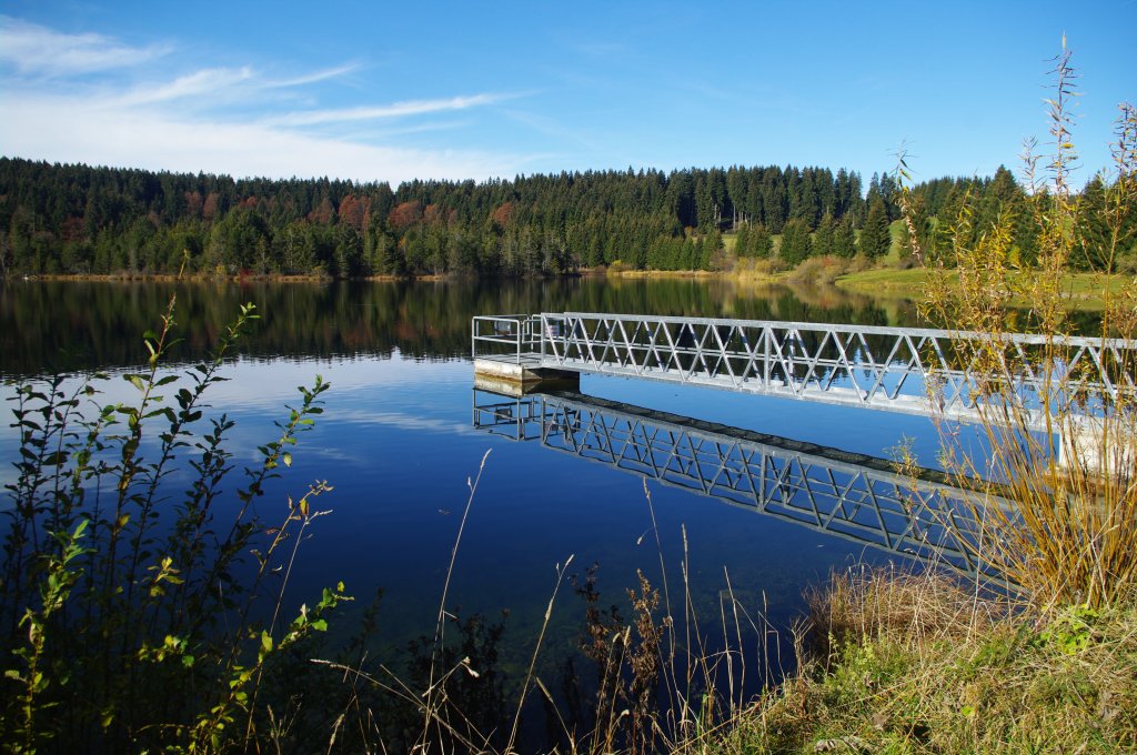 Eschacher Weiher im Landkreis Oberallgu, angelegt vom Frststift Kempten im Hhenzug Adelegg bei Buchenberg (03.11.2011)