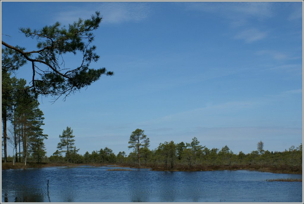 Estlands typische (und schne) Landschaft. 
04.05.2012