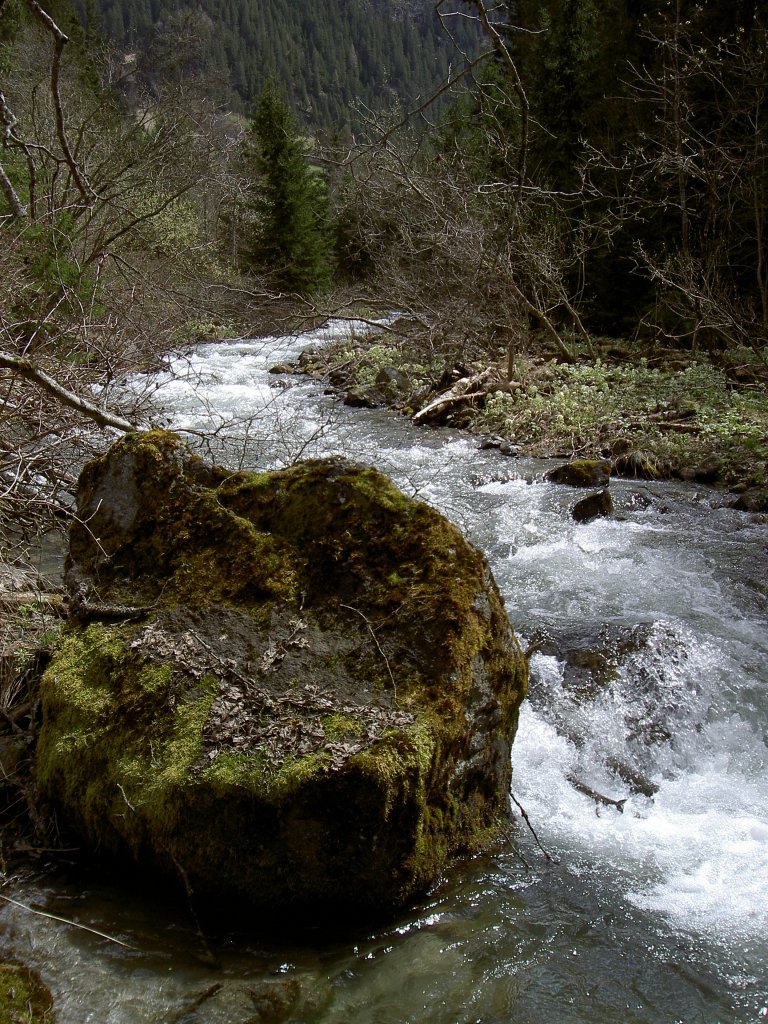 Faggenbach bei Feisten im Kaunertal (28.04.2013)