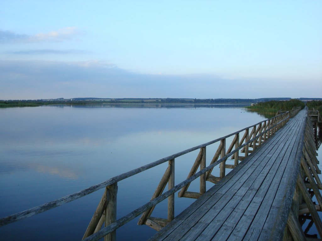 Federsee/Oberschwaben,
durch den 1,5km langen Holzsteg kommt man direkt an den See,
der sonst durch einen breiten Schilfgürtel umgeben ist,
eines der größten Vogelschutzgebiete in Deutschland,
Aug.2008