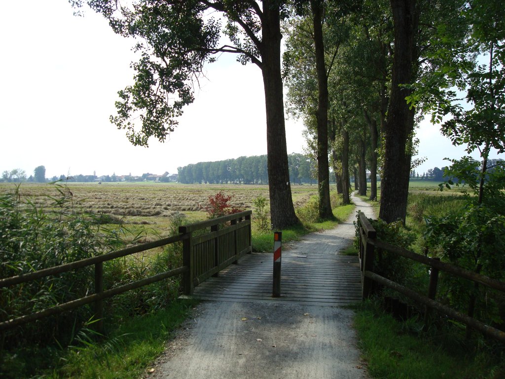 Federseeradweg/Oberschwaben,
sie umfahren auf ebener Strecke in ca.2 Stunden ganz bequem,
das grte Moorgebiet in Sdwestdeutschland,
Aug.2008 