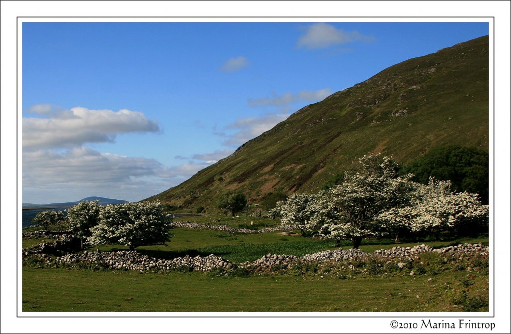 Feenland an der N59 Richtung Ballycroy, Irland County Mayo