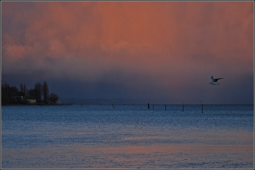 Feiertag am Bodensee. Konstanz, Dezember 2009.