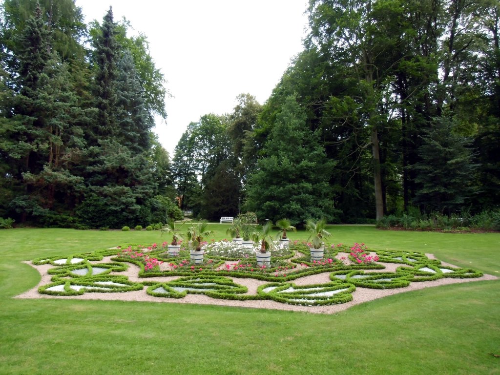 Feines Blumenbild im Greizer Schlosspark. Foto 11.07.12