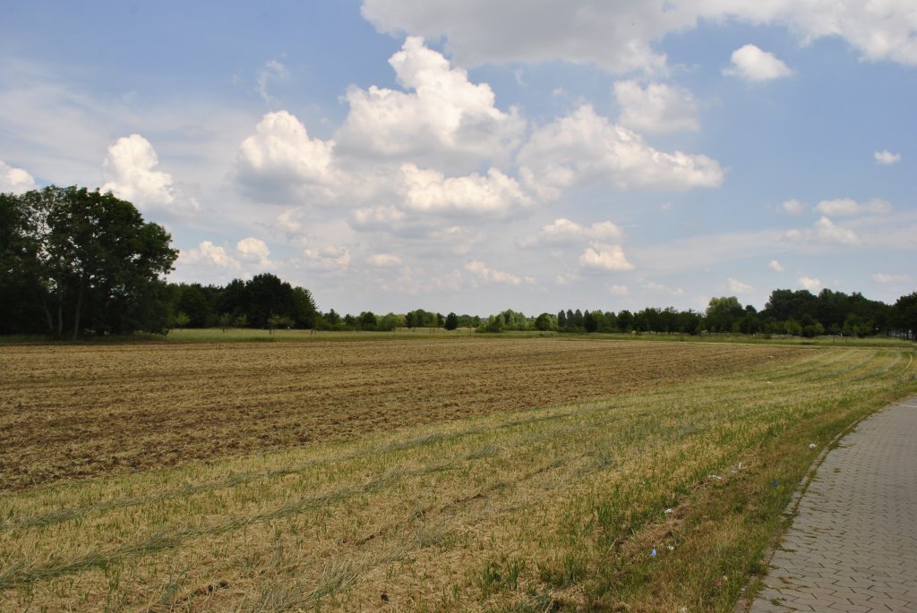 Feld bei Han./Langenhagen am 06.06.2011