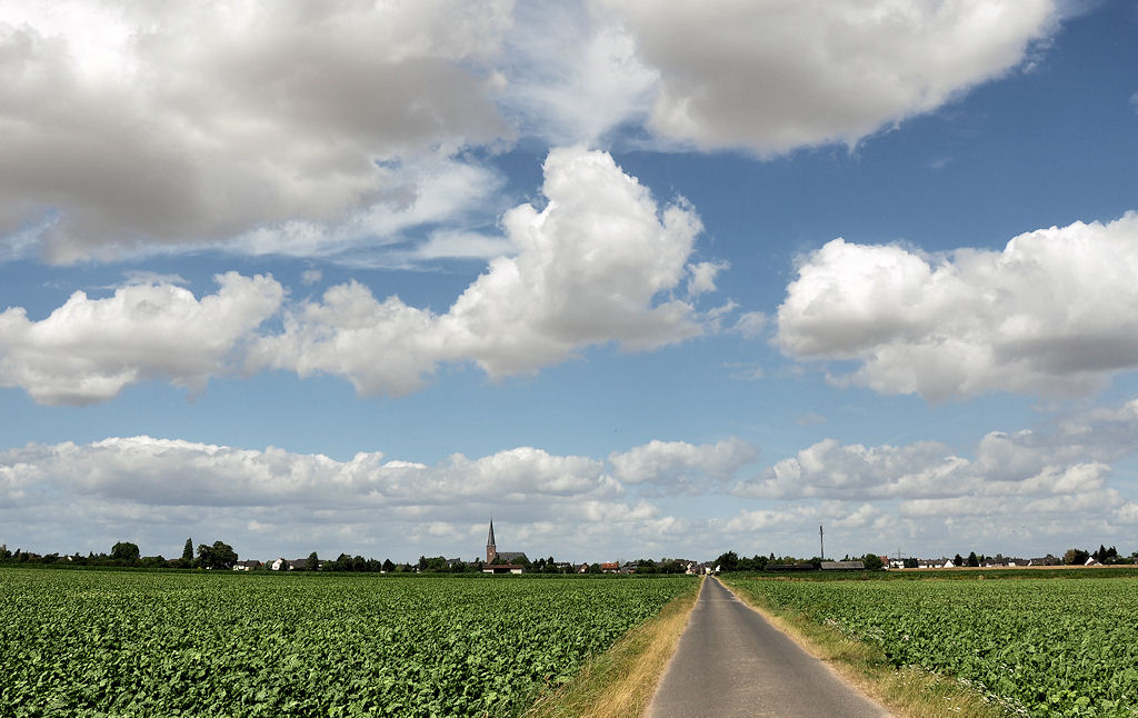 Felder, Feldweg und Schnwetterwolken bei Gro Vernich - 15.07.2010