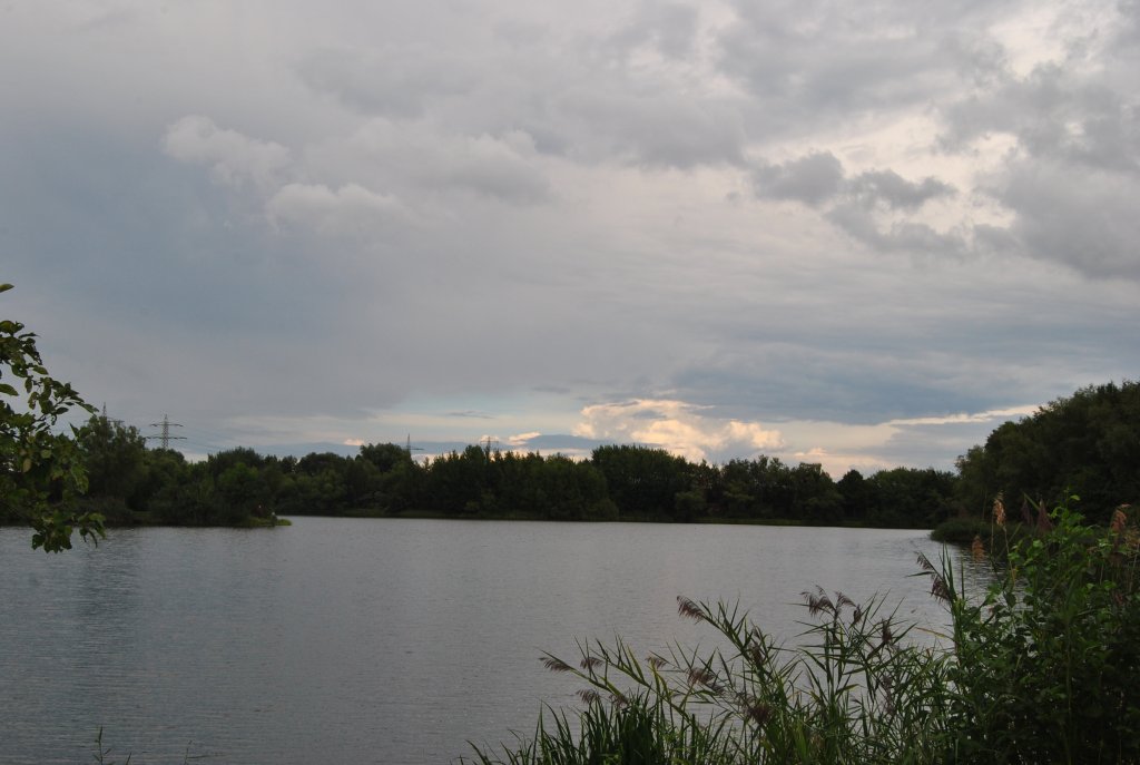 Fischteich bei Lehrte/Steinwedel. Foto vom 16.08.10.