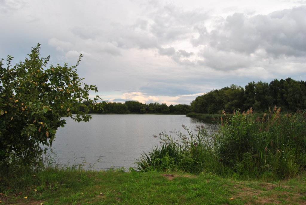 Fischteich bei Steinwedel/Lehrte. Foto vom 16.08.10.