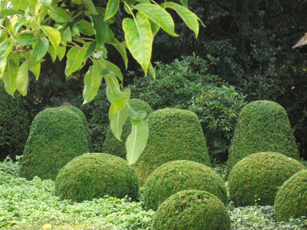 Foto im Arboretum in Ellerhoop am 26.08.2012