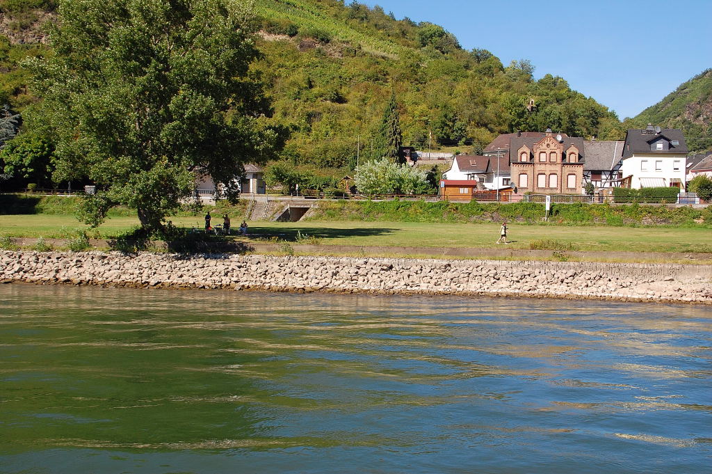 Foto vom Rheinschiff Loreley Elegnce ans rechte Ufer bei Wellmich