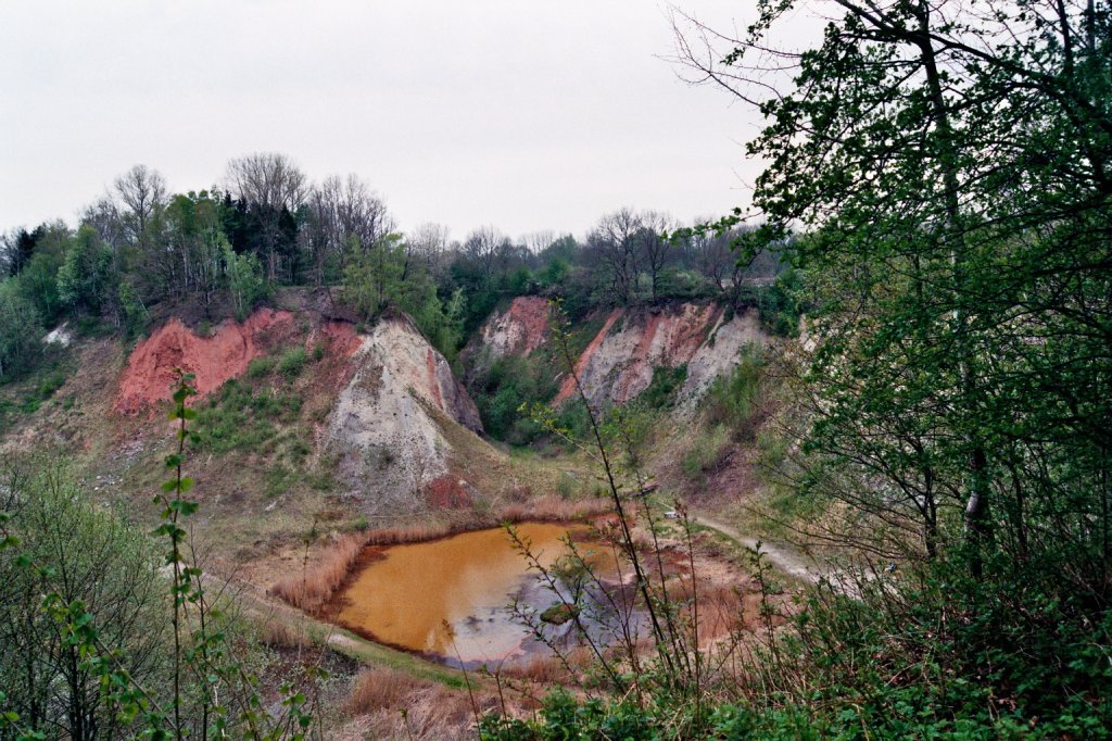 Fotografie der Liether Kalkgrube bei Elmshorn im Kreis Pinneberg am 28.04.2012.