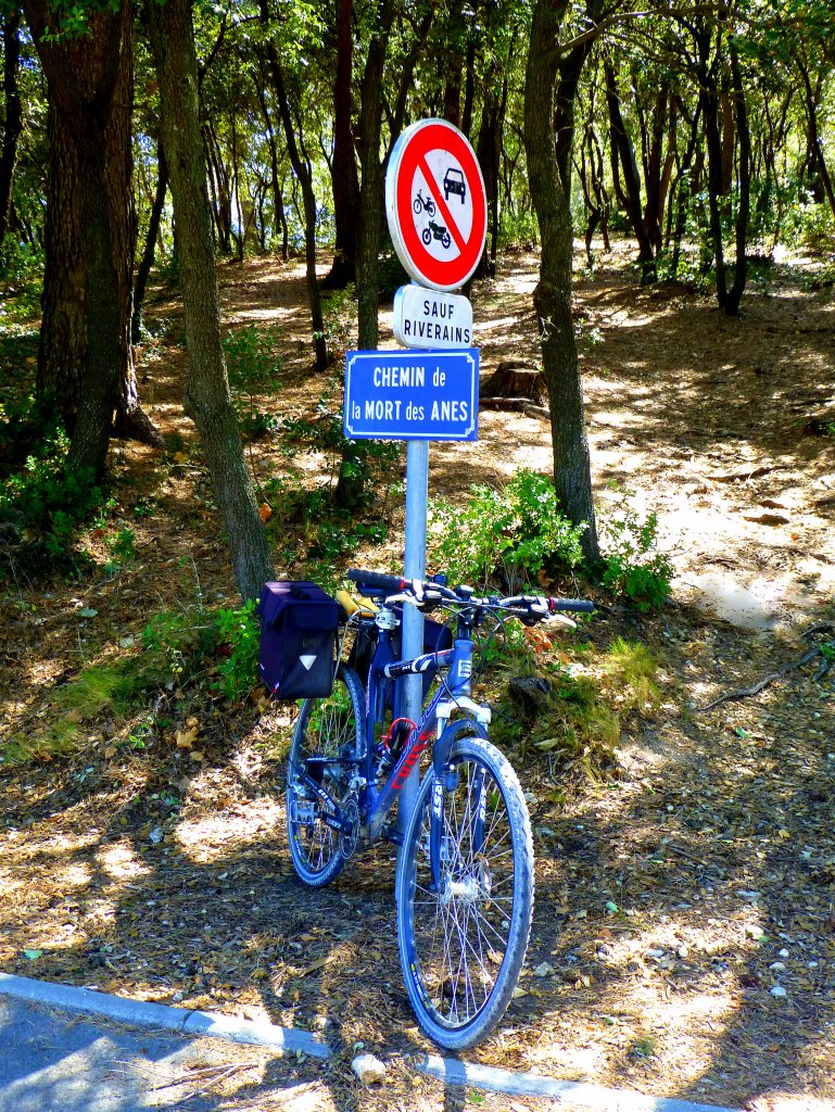 Frankreich, Languedoc-Roussillon, Hrault, Clapiers, ein  Drahtesel  auf dem  Todesweg der Esel 