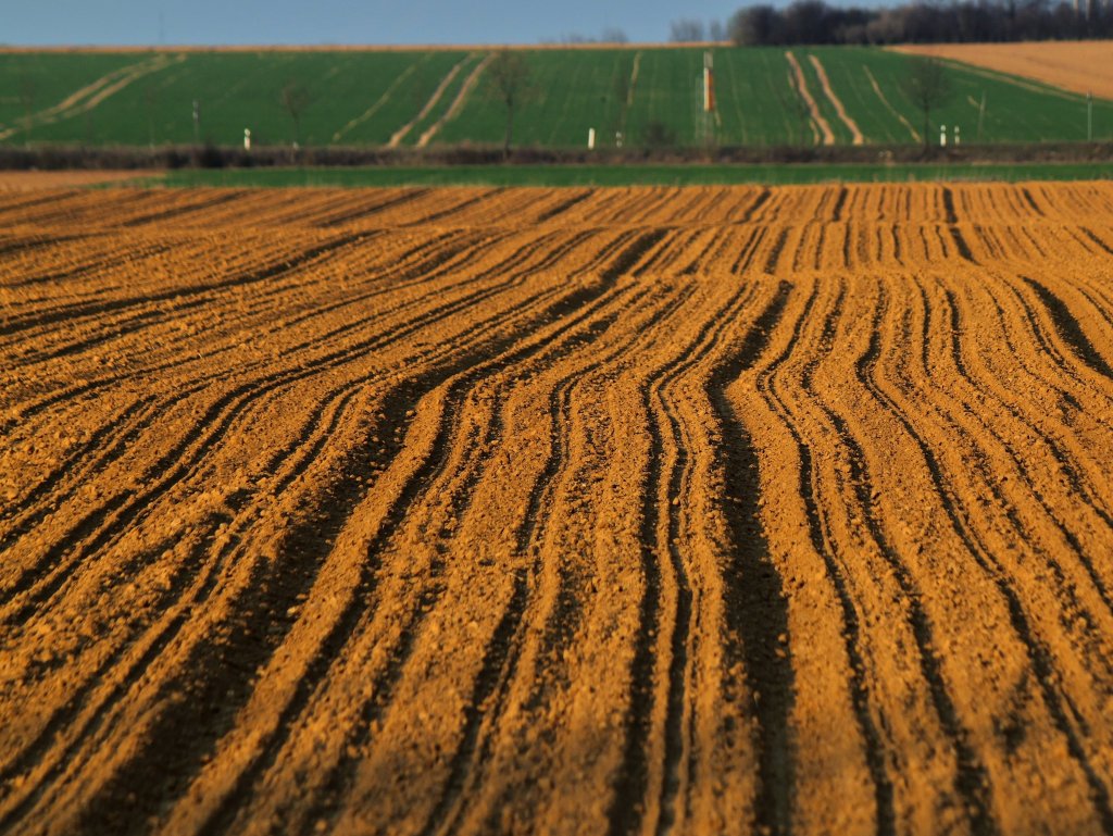 Frisch bearbeitetes Feld am 24.03.2012 bei Eschweiler.