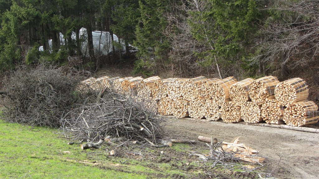 Frisch geschnittenes Holz am 28.3.2013. Im Frhjahr ist es fr die Frster wieder Zeit, den Wald auf Vordermann zu bringen. Das ist ein gutes Beispiel dafr.