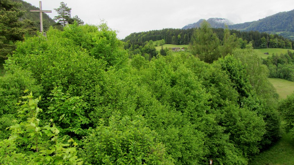 Frisches Grn an der Hochkapelle in Brixlegg. Dahinter ist auch das in der Nacht leuchtende Kreuz zu sehen.(17.5.2013)