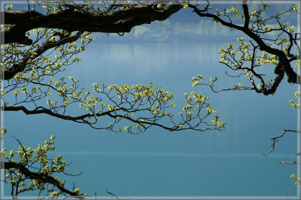 Frhling am Briezersee. 
9. April 2011