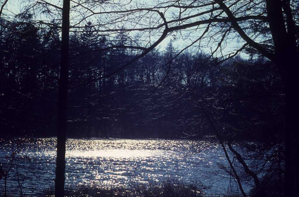 Frhling in der Nhe von Hellebk in Nordsjlland (Nordseeland in der Umgebung von Helsingr) am 11. April 1971. 