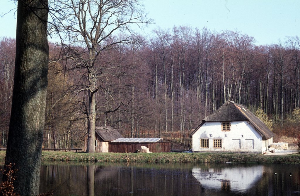 Frühling im Wald: Hammermøllen (mølle: Mühle) in Hellebæk in der Umgebung von Helsingør. Aufnahmedatum: 11. April 1974.