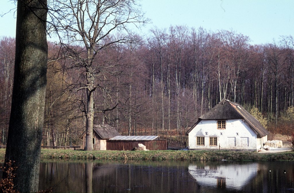 Frhling im Wald: Hammermllen (mlle: Mhle) in Hellebk in der Umgebung von Helsingr. Aufnahmedatum: 11. April 1974.