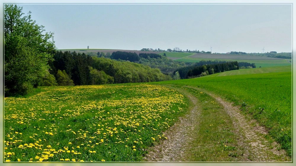 Frhlingshafte Landschaft fotografiert in der Nhe von Hoscheid-Dickt am 23.04.2011. (Jeanny)