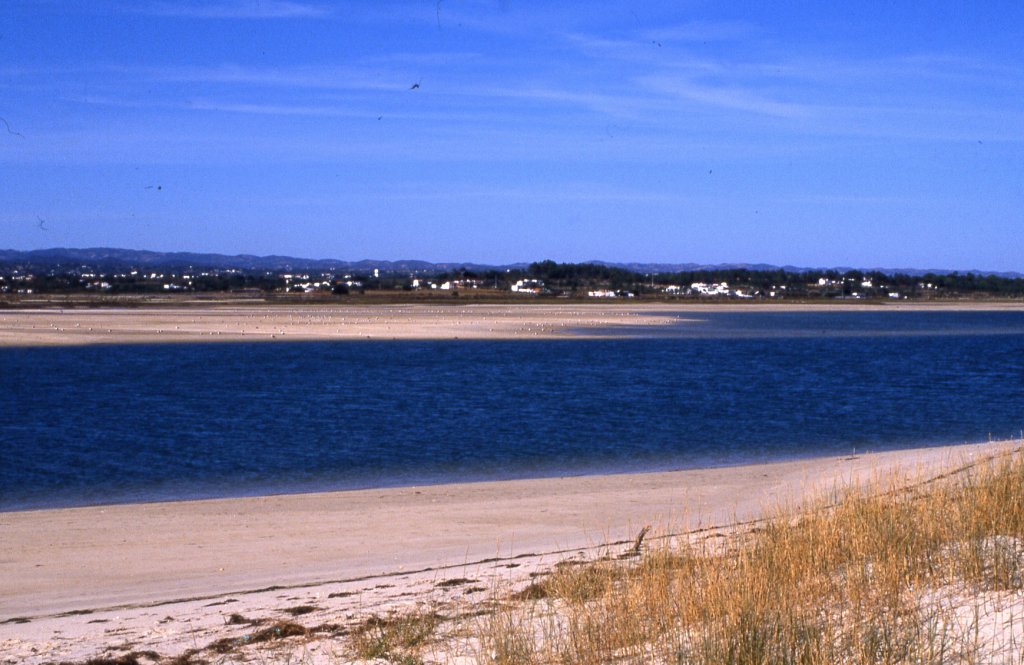 FUSETA, 03.10.1989, Blick von der Fuseta vorgelagerten Sandbank Ilha de Armona auf das Festland -- eingescanntes Dia