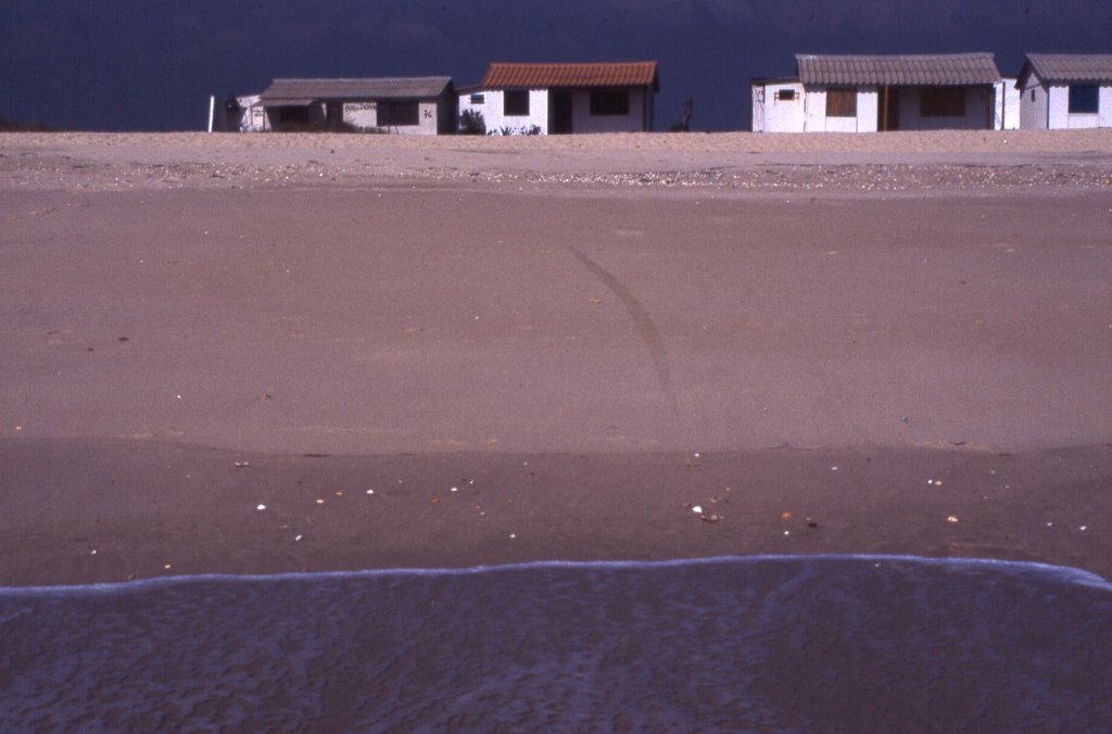 FUSETA, 03.10.1989, Wochendendhäuser auf der Fuseta vorgelagerten Sandbank Ilha de Armona -- eingescanntes Dia