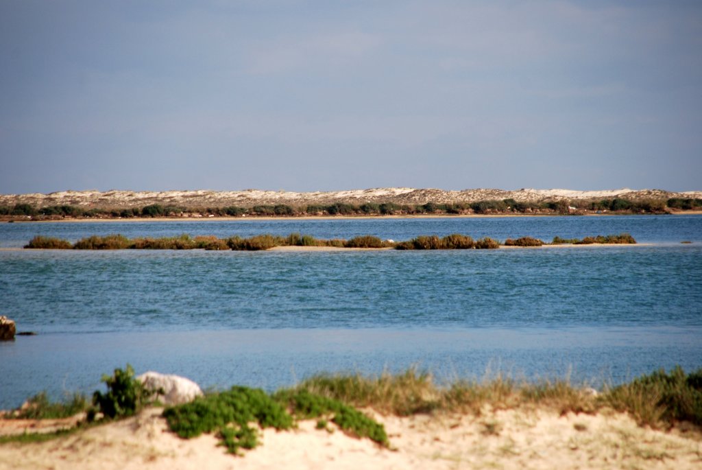 FUSETA, 13.02.2010, Blick auf die Ilha de Armona