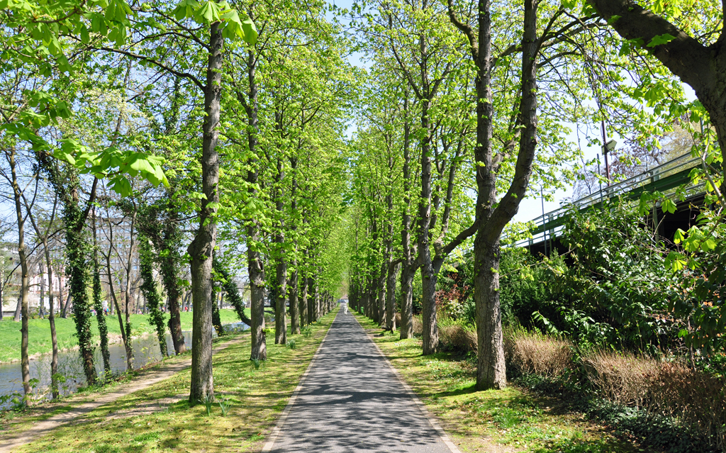  Fugnger-Allee  an der Ahr in Bad Neuenahr - 18.04.2010