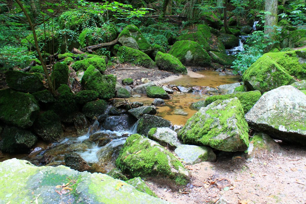 Gaishllwasserfall bei Sasbachwalden am 29.07.2012