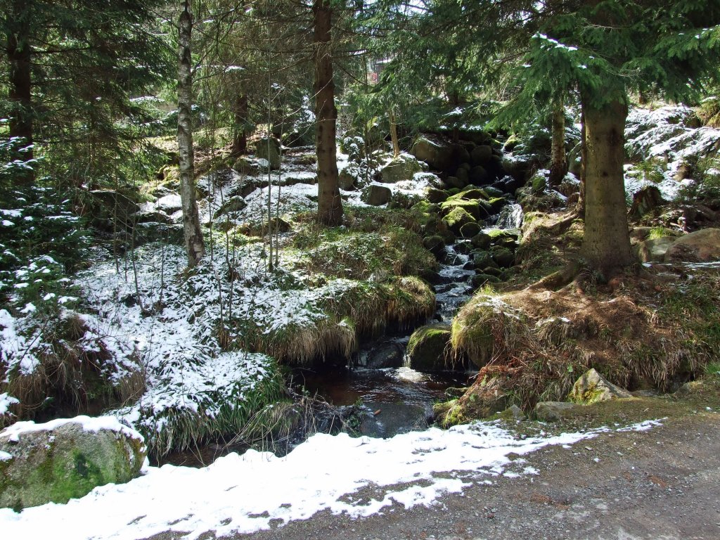 Gebirgsbach bei Schierke am 8.4.2012.