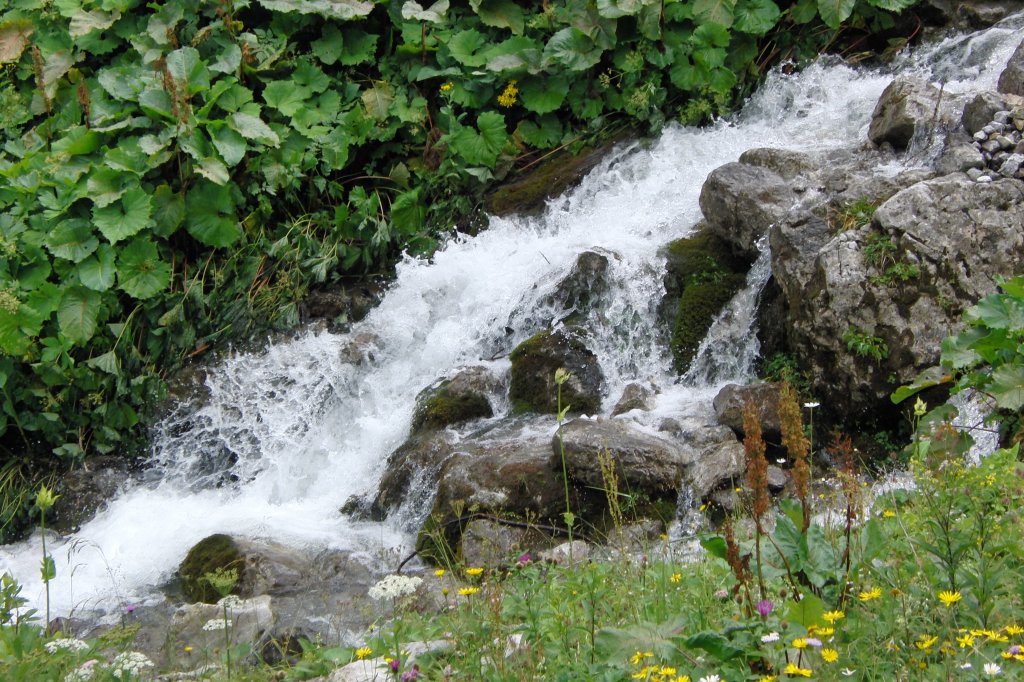 Gebirgsbach in der  Eng  bei Mittenwald ( Juli 2010 )