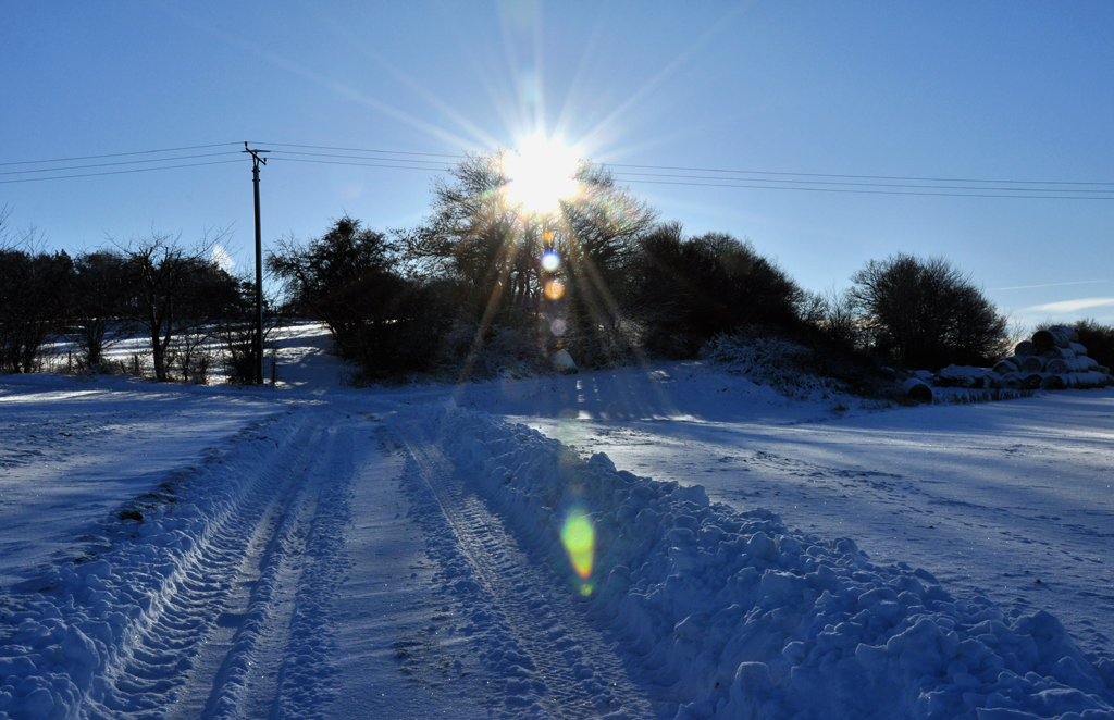 Gegenlicht-Winterbild in Weiler am Berg (Eifel) - 18.12.2010