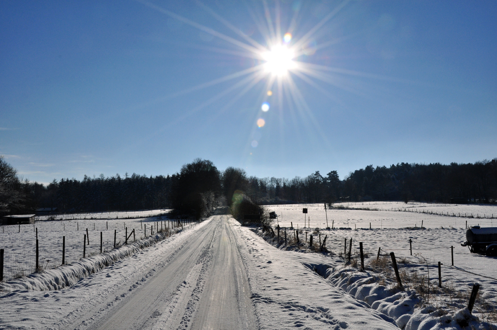 Gegenlichtaufnahme Winterlandschaft an der Steinbachtalsperre - 08.12.2012