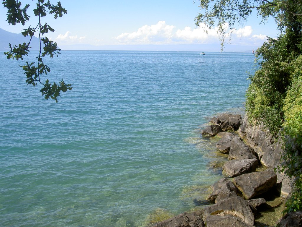 Genfer See bei Chillon (12.09.2010)