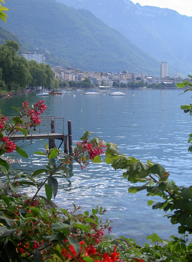 Genfer See bei Montreux (12.09.2010)