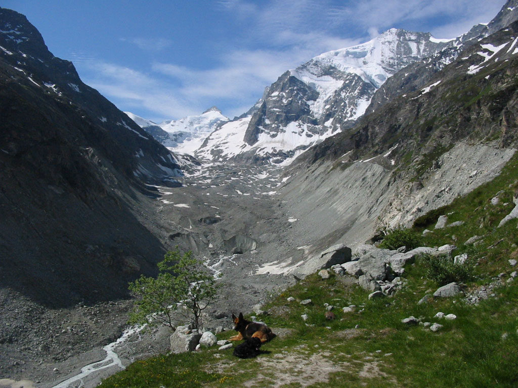 Glacier de Zinal mit Pointe de Zinal (3789m), Dent Blanche (4357m, fast verdeckt) und Grand Cornier (3962m), aufgenommen unterhalb der Cabanne du Petit Moutet (2142m) am 8.6.2003 um 9:09 Uhr
