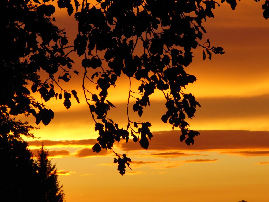 Goldener Sonnenuntergang an einem wunderschönen Augustabend, aufgenommen am 28.08.2012
