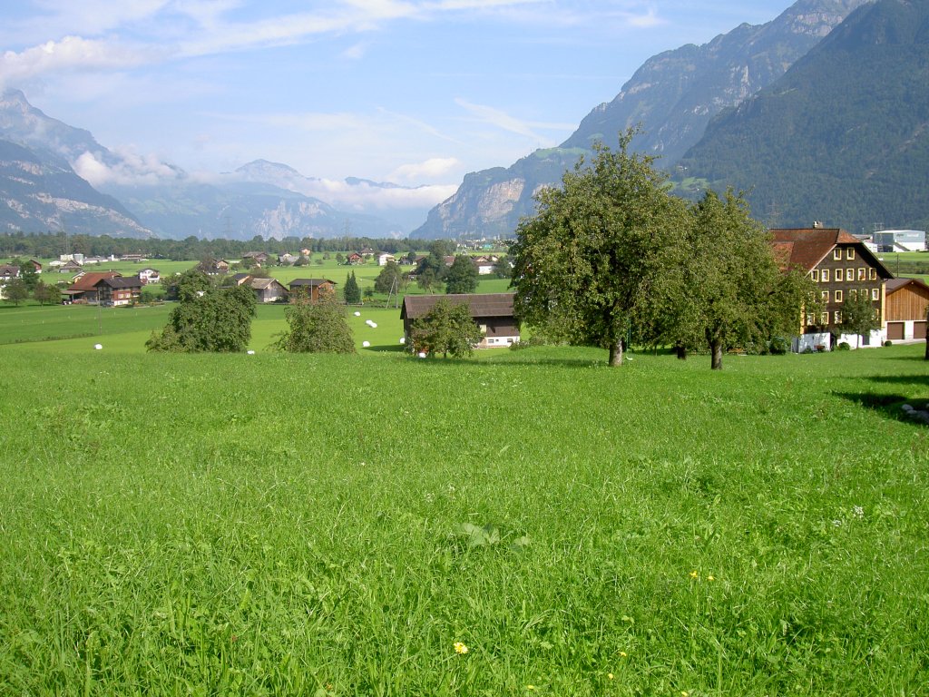 Gotthard Tal bei Attinghausen, Kanton Uri (05.09.2010)