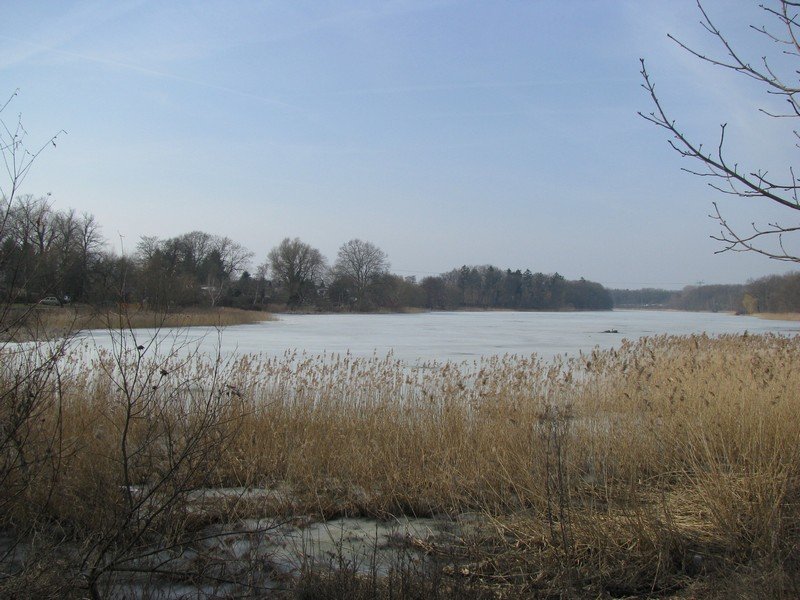 Grevesmhlen; immer noch zugefrohren der Vielbecker See, 18.03.2010