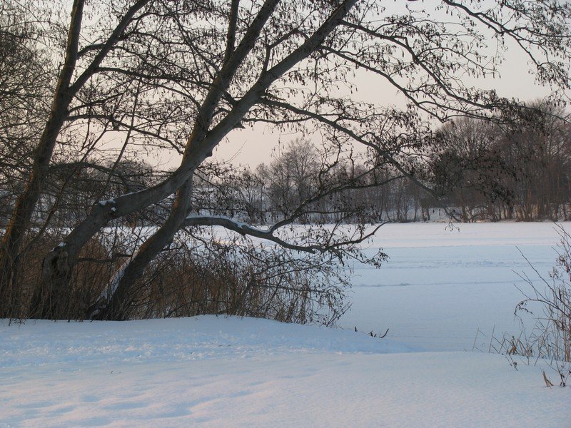 Grevesmhlen; Landschaftsidylle am zugefrohrenen und verschneiten Ploggensee, 16.02.2010