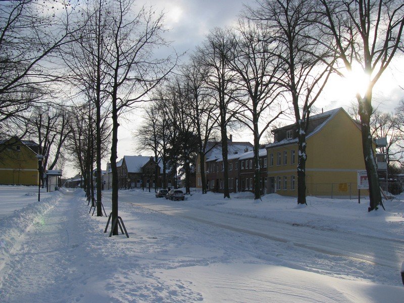 Grevesmhlen; verschneite Landschaft  Am Lustgarten , 30.01.2010