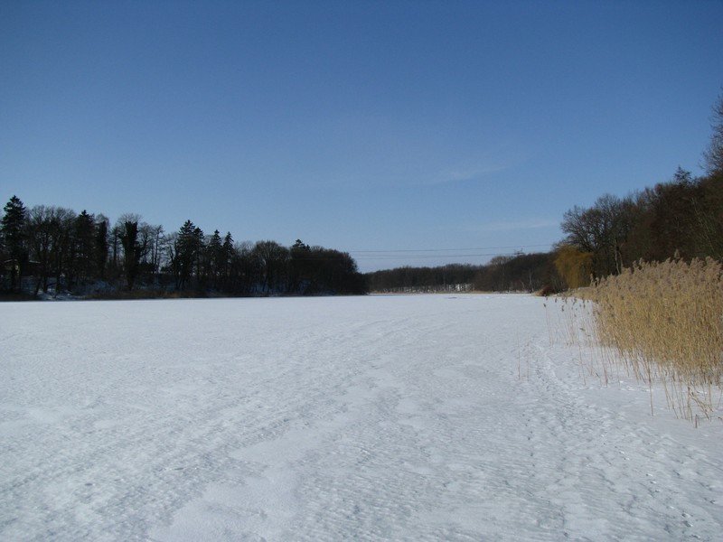 Grevesmhlen; zugefrohrener und verschneiter Ploggensee, 16.02.2010