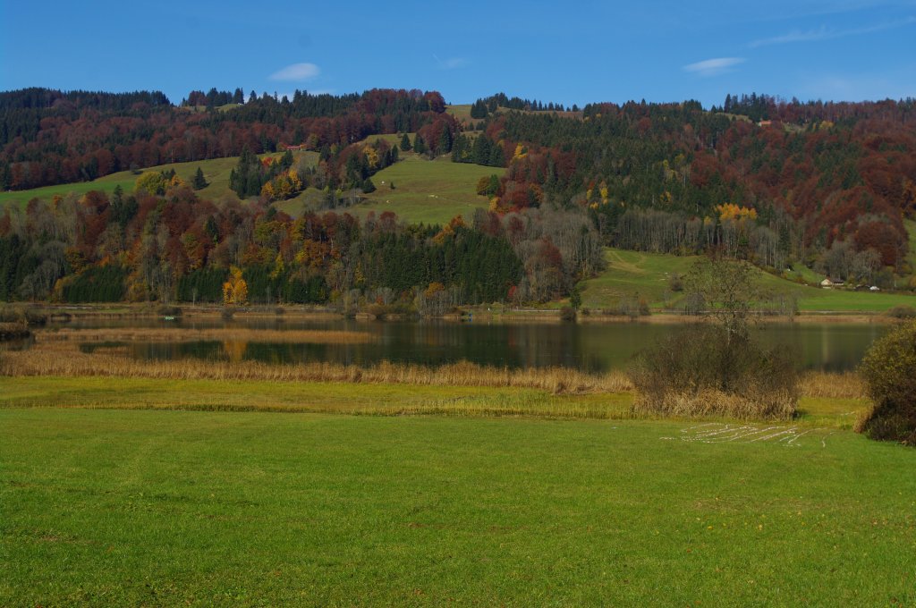 Groer Albsee bei Immenstadt, Kreis Oberallgu (01.11.2011)