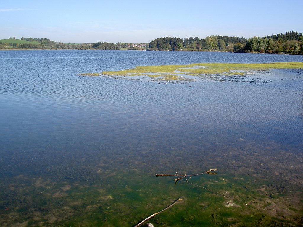 Grntensee bei Wertach, Kreis Ostallgu (04.10.2011)